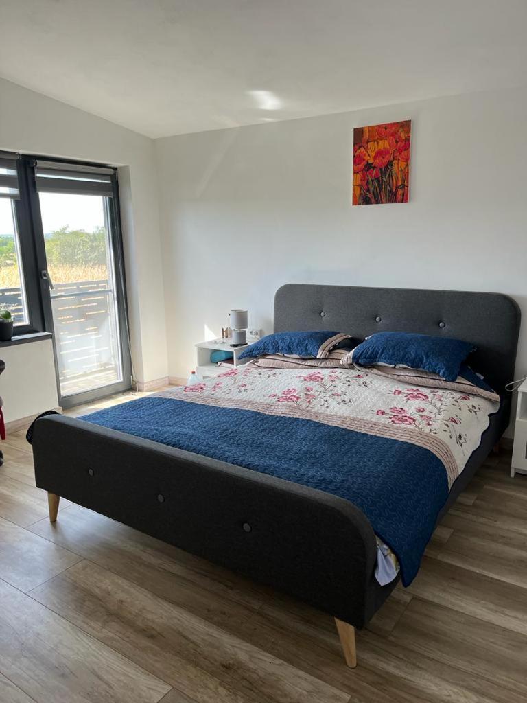 Mimi House Βίλα Baia de Fier Εξωτερικό φωτογραφία